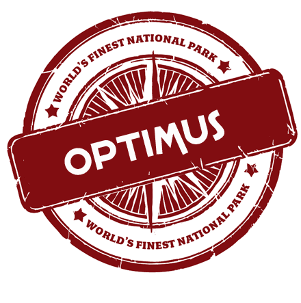 centrale motan gama optimus